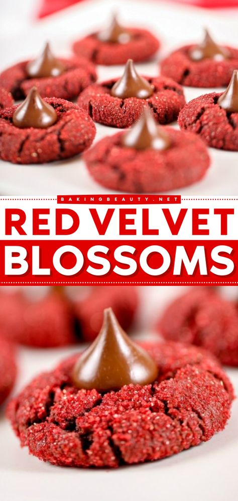 You're just 30 minutes away from these easy Christmas cookies! This holiday baking idea features chewy red velvet cookies. Topped with a Hershey's Kiss, this red velvet blossom recipe is sure to be a hit! Hersheys Red Velvet Blossoms, Dessert Reception, Velvet Cookies, Valentines Baking, Blossom Cookies, Red Velvet Cookies, Valentine Desserts, Recipes Christmas, Valentines Day Desserts