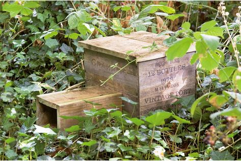 hedgehog-house-4 Diy Hedgehog House, Wildlife Garden Ideas, Diy Hedgehog, Hedgehog Box, Hedgehog Home, Allotment Ideas, Garden Wildlife, Hedgehog House, Bug Hotel