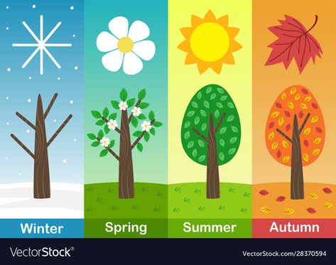 Four Seasons Painting, Four Seasons Art, Seasons Preschool, Trees Vector, Season Aesthetic, Whats In Season, Seasons Art, Nba Season, Different Seasons