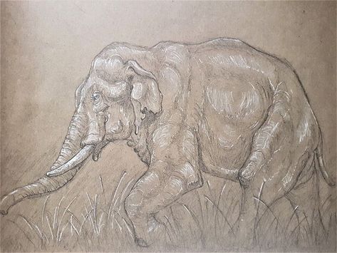 Check out LinaReed's art on DeviantArt! Asian elephant tusker muscle / anatomy study during movement. #art #wildlife #elephant #animal #drawing #animaldrawing #asianelephant #indianelephant #elephantdrawing #illustration #sketchbook #sketchbookideas #traditionalart #animalsketches #animalanatomy #pencildrawing #elephantart Asian Elephant Drawing, Muscle Anatomy Study, Muscle Study, Elephant Species, Movement Art, Illustration Sketchbook, Elephant Drawing, Muscle Anatomy, Asian Elephant