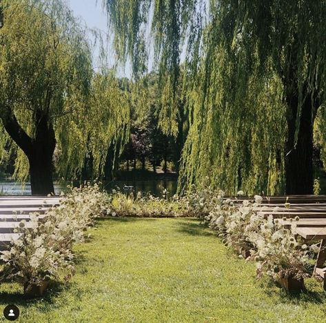 Willow Tree Wedding, Still Life With Flowers, Floral Installations, When I Get Married, Future Love, Future Wedding Plans, Dream Wedding Ideas Dresses, Garden Party Wedding, Wedding Mood Board