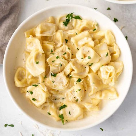 Tortellini Alfredo, Tortellini Recipe, Creamy Alfredo Sauce, Chicken Pasta Dishes, Copycat Panera, Pasta Recipes Alfredo, Pasta Alfredo, Chicken Tortellini, Easy Pasta Dinner