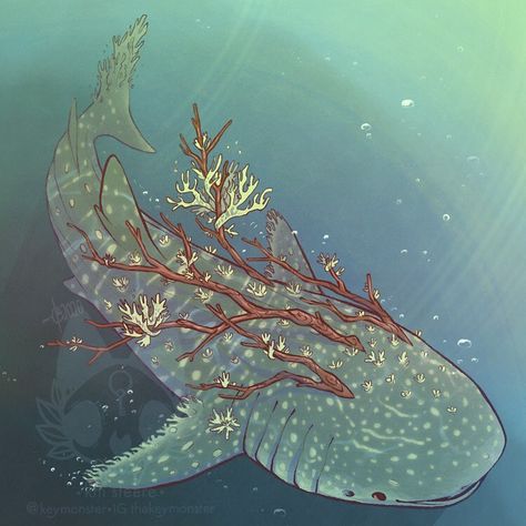 km steere on Instagram: “Oakmoss Whale Shark Botanimal commission for @/thalossaraptor on twitter. Thank you! . . . . . #digital #digitaldrawing…” Cute Fantasy Creatures Art, Fantasy Shark, Fantasy Animal Art, Plant Animals, Creature Fantasy, Shark Drawing, Fish Ocean, Procreate Illustration, Shark Art