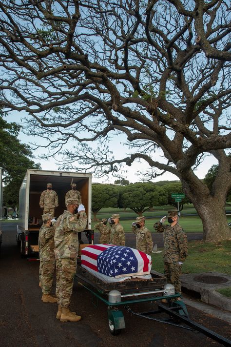 #RememberTheFallen During a disinterment ceremony at the National Memorial Cemetery of the Pacific in Honolulu, Hawaii, members of the Defense POW/MIA Accounting Agency pay respects to service members whose remains were discovered after being lost during the #KoreanWar. Military Tools For Yahoo, Paul Lacamera, Scam Pictures, Marines In Combat, Best Special Forces, Military Office, Pictures Of Soldiers, Army Medic, Army Couple Pictures