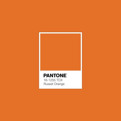 Discover Inspirational Pantone Color Palette · Lab 61,65 44,68 60,20 · sRGB 228 113 39 · HEX E47127 · Pantone · FHI Cotton TCX · PANTONE 16-1255 TCX Russet Orange Pantone Color Palette, Pantone Orange, Pantone Tcx, Color Library, Pantone 2020, Color Pantone, Pantone Colour Palettes, Apricot Color, Poppy Color