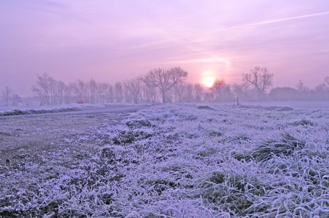 Free Images : nature, snow, cold, cloud, sun, sunset, road, mist, white, field, meadow, prairie, sunlight, morning, flower, frost, dawn, weather, plain, winter landscape, plateau, habitat, frosty, tundra, sunrise landscape, winter trees, winter scene, natural environment, atmospheric phenomenon, grass family 2910x1933 - - 861052 - Free stock photos - PxHere Start Of Winter, Winter Sunrise, Sunrise Landscape, Big Chill, Winter Images, Atmospheric Phenomenon, Winter Trees, Winter Wonder, Winter Photography