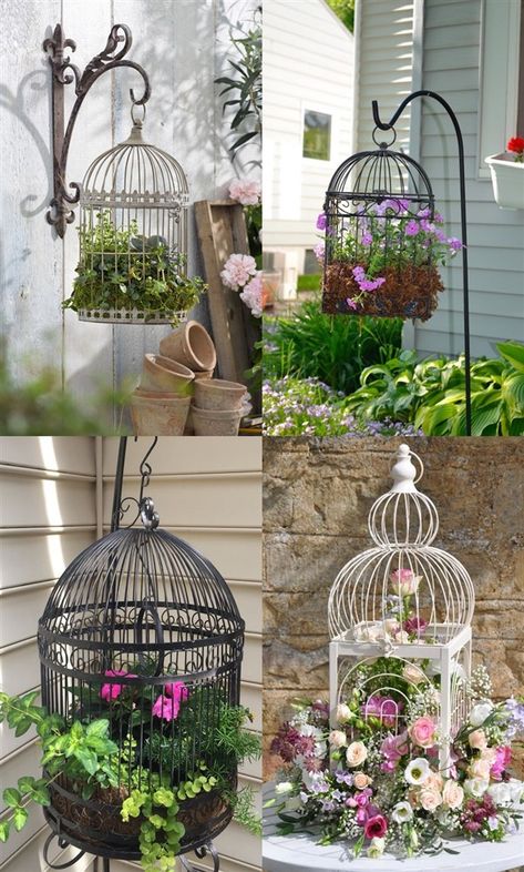 72 Stunning Birdcage Flower Planters - Balcony Decoration Ideas in Every Unique Detail Diy Birdcage, Birdcage Planter, Eco Friendly Garden, Bird Cage Decor, Birdcages, Garden Containers, Garden Yard Ideas, Bird Cages, Garden Cottage