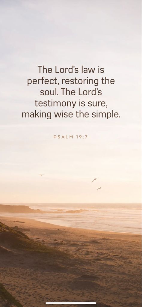 Psalm 19:7, Psalm 7, Psalm 19, Prayer Room, Daily Bible Verse, Favorite Bible Verses, Daily Bible, Verse Quotes, Bible Quotes