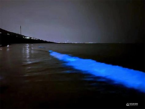 On the evening of August 28, on the beach of Qingdao, a wonderful fluorescent line appeared where the sea and the sky met, and the beach was accompanied by waves of tides, and pieces of fluorescent light appeared, as if the Milky Way in the sky had spread to the sea. Photo: 北石 Qingdao, Fluorescent Light, Milky Way, Northern Lights, Wonder, Water, Natural Landmarks, Travel