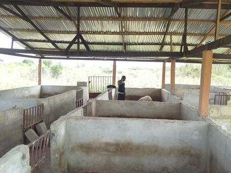 Pig Farming Pig Farming And Other Business Opportunities In Cattle Housing, Pig Shelter, Sheep House, Small House Design Philippines, Philippines House Design, Cow House, Philippine Houses, Pig House, Farm Layout