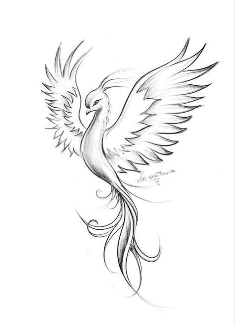 Cherry Blossom And Phoenix Tattoo, Phoniex Tattoo Design, Phoenix Tattoo Design Feminine, Phoenix Feather Tattoo, Phoenix Outline, Feminine Phoenix Tattoo, Feniks Tattoo, Phoenix Drawing, Phoenix Tattoo Feminine