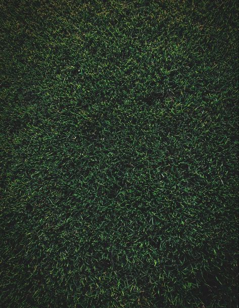 #grounding #nature #dark #green #background Iv Spa, Grassy Background, Aesthetic Dark Green, Insta Background, Grass Aesthetic, Green Core, Grass Background, Grass Pattern, Green Ground