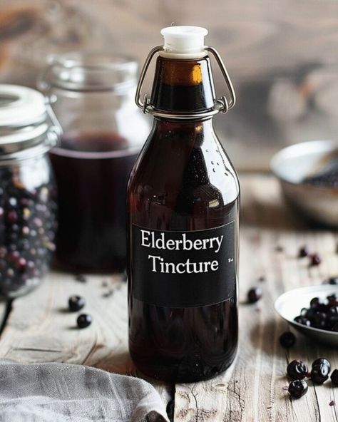 Elderberry Tincture - Homesteading etc. Elderberry Tincture Recipe, Elderberry Tincture, Tinctures Recipes, Inner Witch, Dried Berries, Ginger And Cinnamon, Boost Your Immune System, Amber Glass Bottles, Long Shelf