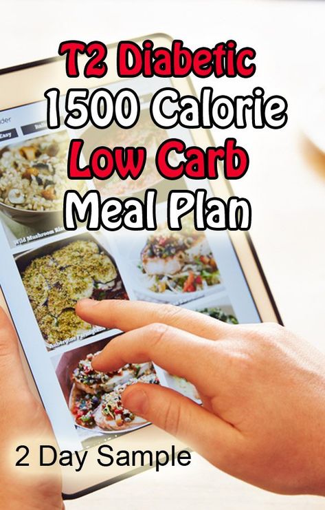 Type 2 Diabetic 1500 Calorie Meal Plan (2 Day Sample) 1500 Calorie Meal Plan, Low Carb Meal, Sample Meal Plan, Low Carb Meal Plan, Calorie Meal Plan, No Carb Diets, Calorie Diet, Blood Sugar, Meal Plan