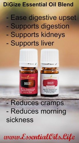 Digize Essential Oil, Essential Oils For Nausea, Essential Oil Education, Aromatherapy Recipes, Essential Oils Health, Morning Sickness, Essential Oil Blend, Oil Blends, Young Living Essential Oils