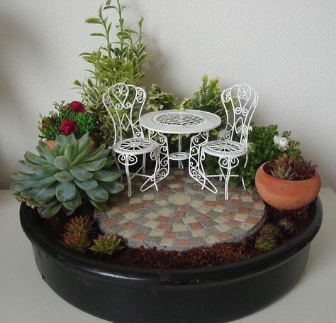 Kaktus Dan Sukulen, Pinterest Garden, نباتات منزلية, Fairy Garden Designs, Mini Fairy Garden, Succulent Gardening, Fairy Garden Houses, Garden Terrarium, Succulent Terrarium