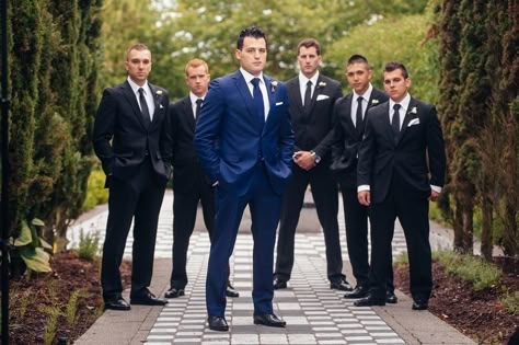 Blue Groom Suit Black Groomsmen, Blue Suit Groom, Black Groomsmen, Rose Beauty And The Beast, Groom Suit Black, Blue Groomsmen, Beauty And The Beast Wedding, Congratulations On Your Wedding, Wedding Trivia