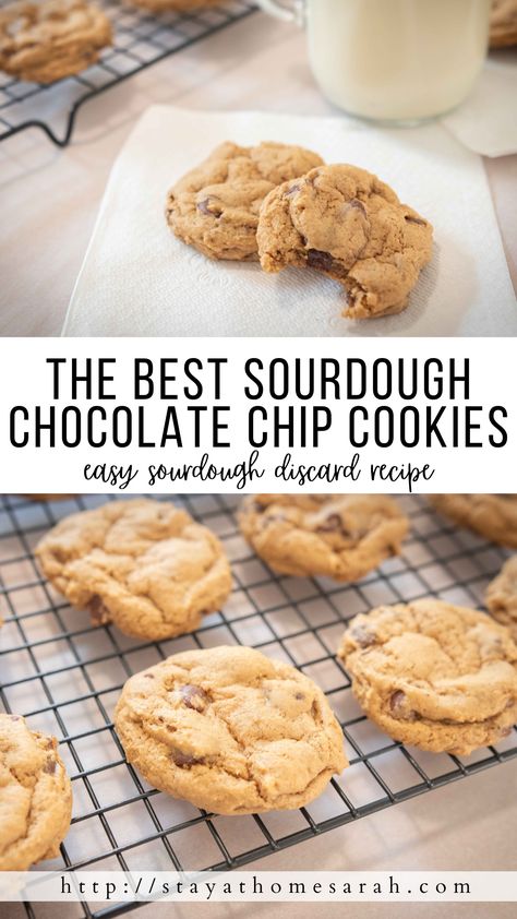 Sourdough Choc Chip Cookies, Sourdough Oatmeal Chocolate Chip Cookies, Discard Chocolate Chip Cookies, Discard Cookies, Sourdough Chocolate Chip Cookies, Discard Recipe, Sourdough Starter Discard Recipe, Einkorn Flour, Starter Recipes