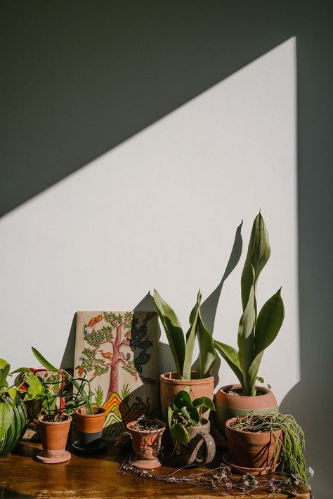 Kinfolk Style, The Kinfolk Table, Kinfolk Magazine, Bohemian Modern Style, Good Reads, Jungle Gardens, Plants For Hanging Baskets, Leafy Plants, Bohemian Modern