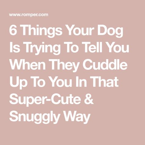 6 Things Your Dog Is Trying To Tell You When They Cuddle Up To You In That Super-Cute & Snuggly Way Dog Cuddle, Dog Cuddles, Lap Dogs, Dog Eyes, Just She, Animal Behavior, Pet Stuff, Cheer You Up, Feeling Down