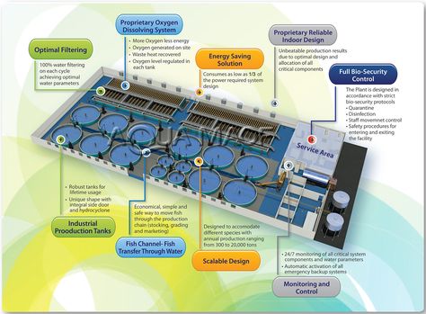 Aquamaof Design Indoor Aquaponics, Shrimp Farming, Aquaponics Greenhouse, Aquaponic Gardening, Aquaponics System, Indoor Design, Fish Farming, Whitening Soap, Growing Fruit