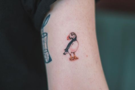 보노 on Instagram: “. Puffin . Thank you emily & liam . You guys made my day👍 . #melbourne #melbournetattoo #tattoo #smalltattoo #puffintattoo finelinetattoo…” Puffin Bird Tattoo, Small Puffin Tattoo, Puffin Tattoo Simple, Puffin Tattoo, Icelandic Tattoo, Puffin Illustration, Pigeon Tattoo, Robin Tattoo, Tattoo Mom