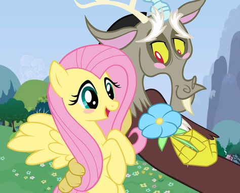 Flutter Shy X Discord, Mlp Fluttershy X Discord, Discord X Fluttershy, Discord And Fluttershy, Fluttershy Discord, Fluttershy X Discord, Fluttershy And Discord, Luigi Pfp, Fairy Pfp