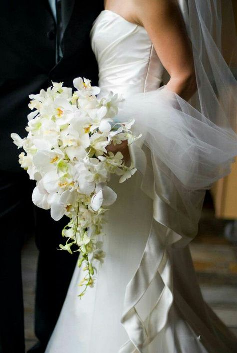 Orchid Centerpieces Wedding, White Saree Wedding, Cascade Bridal Bouquet, Orchid Bridal Bouquets, Antique Style Wedding, Brides Flowers Bouquet, White Bouquets, Bridesmaid Bouquet White, Cascading Bridal Bouquets