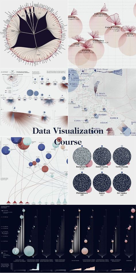 Details from seven data visualization projects. The text in the center says "Data Visualization Course" Editorial Data Visualization, Diagram Chart Design, Data Visualization Timeline, Elegant Infographic Design, Map Information Design, National Geographic Infographic, Visual Data Design, Data Visualization Design Creative, Creative Data Visualization