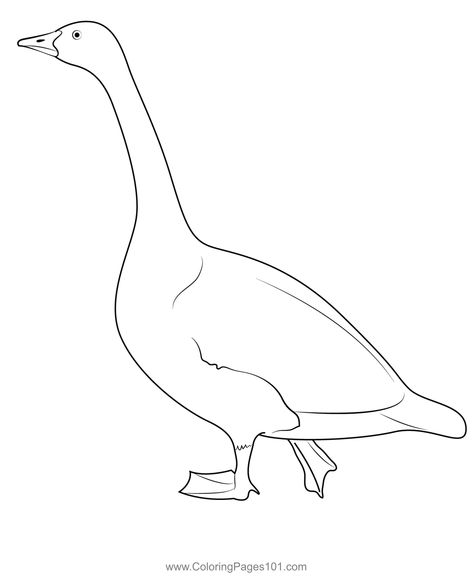 Goose Coloring Page Easy Goose Drawing, Goose Drawing Simple, Goose Sketch Simple, Goose Coloring Pages, Goose Drawing Illustration, Sebastopol Geese, Free Kids, Printable Coloring, Printable Coloring Pages