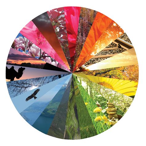 Color wheel by horomon Color Wheel Photography, Colour Wheel Sketchbook Page, Color Wheel Projects, Prettiest Colors, Color Wheel Art, Color Theory Art, Color Wheels, Colour Wheel, Collage Art Projects