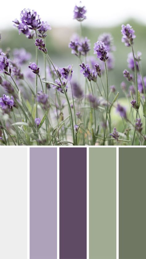 Flowers Color Palette, Lavender Color Scheme, Lavender Color Palette, Lavender Room, Calm Color Palette, Wedding Color Pallet, Purple Palette, Purple Color Schemes, Sage Green Bedroom