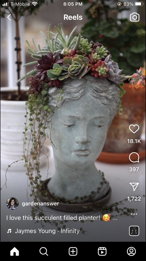 Statue Head, Garden Answer, Succulent Garden Design, Succulent Garden Diy, Container Gardening Flowers, Succulent Gardening, Have Inspiration, Topiaries, Garden Containers