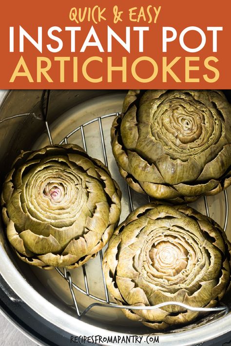 This recipe for Instant Pot Artichokes is so quick and easy, you’ll never wait for water to boil again! Just 2 simple ingredients and 14 minutes of cook time are all that’s needed to have perfectly cooked Pressure Cooker Artichokes. It really is the ideal appetizer, snack and extra for pasta, salads, soups, sandwiches. Click through to learn how to make steamed artichokes in the Instant Pot!! #instantpot #instantpotrecipes #pressurecooker #recipes #instantpotartichokes #artichokes #vegetable Reheat Pizza In Air Fryer, Cheap Instant Pot Recipes, Pressure Cooker Artichokes, How To Reheat Pizza, Cheap Instant Pot, Pizza In Air Fryer, Steamed Artichokes, Spring Vegetables Recipes, Steam Artichoke