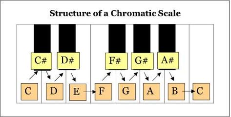 Chromatic Scale Structure Chromatic Scale, Vocal Warmups, Diatonic Scale, Vocal Training, Topics To Talk About, Music Theory Guitar, Solfege, Music Practice, Classical Piano