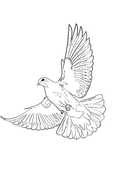 Dove Tattoo Stencil, Dove Outline, Pigeon Tattoo, Dove Tattoo Design, Dove Tattoos, Pictures To Color, Bird Coloring, Dove Tattoo, Full Sleeve Tattoo Design