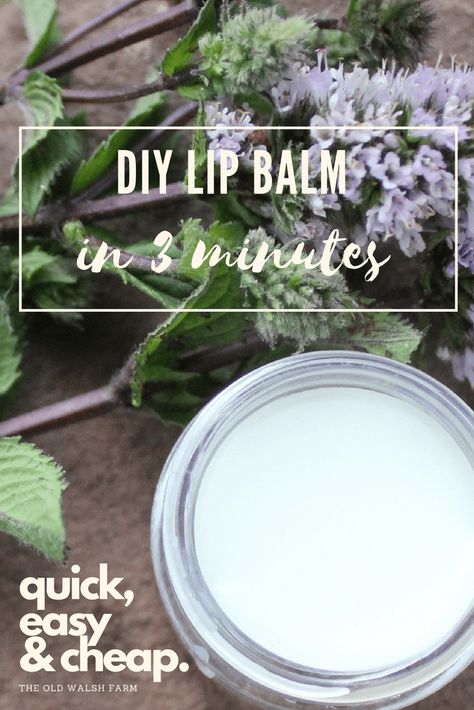 How to make homemade chapstick - in 3 minutes How To Make Chapstick, Homemade Chapstick, Homestead Diy, Healing Lip Balm, Homesteading Tips, Lip Scrub Homemade, Burts Bees Lip, Natural Beauty Treatments, Lip Balm Containers