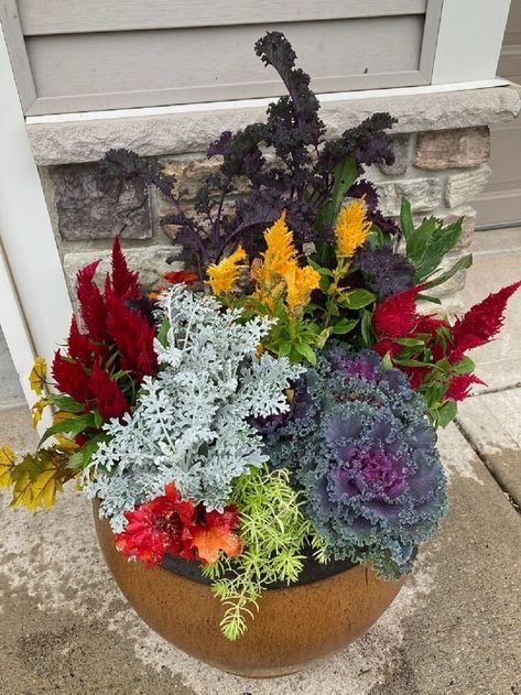 Facebook Fall Containers Planters Sun, Full Sun Fall Planters, Fall Flower Planters, Fall Flower Pots Front Porches, Annual Pots, Fall Potted Plants, Fall Flower Pots, Fall Pots, Fall Container Gardens