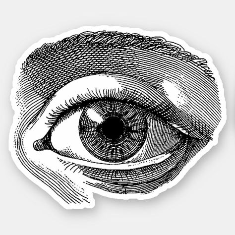 Vinyl Sticker Vintage graphic image Eye. Various sizes are available. Fun and stylish vinyl sticker for your laptop, notebook, etc. Cool Stickers For Laptop, Eyes Sticker, Rock Argentino, Collage Images, Shop Vinyl, Black And White Stickers, Vintage Stickers, Stickers Aesthetic, Eye Stickers