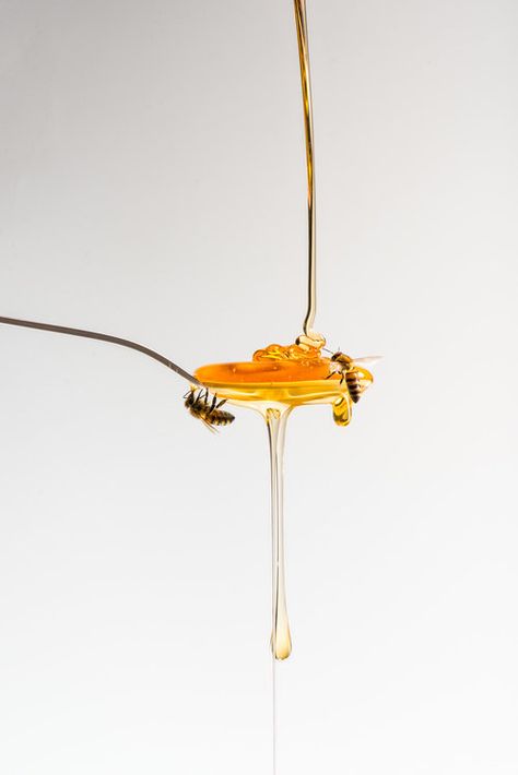 Bompas And Parr, Honey Art, Aesthetic Health, Honey Label, Honey Photography, Tattoo Health, Manipura Chakra, Honey Brand, Bee Drawing