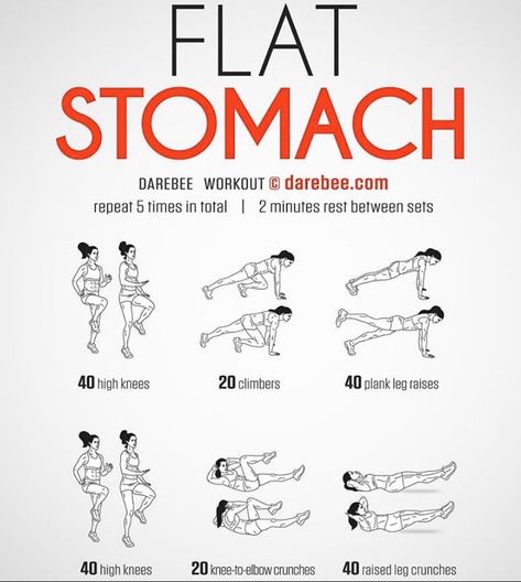 Abb Workouts, Flat Stomach Workout, Workout For Flat Stomach, Quick Workout Routine, At Home Workout Plan, Gym Workout For Beginners, Flat Stomach, Gym Workout Tips, Belly Workout