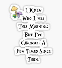 I knew who I was this morning Sticker Alice In Wonderland Stickers, Wonderland Stickers, Marvellous Me, Kayak Ideas, Kayaking Tips, Homemade Stickers, I've Changed, Flask Water Bottle, Kayak Accessories