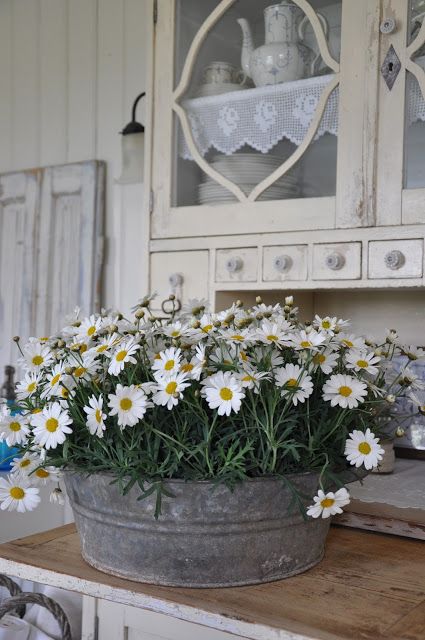 **Country Charm** Front Porch Furniture, Deco Champetre, Farmhouse Landscaping, Magical Home, Deco Nature, Country Decorating, Landscape Designs, White Daisies, Deco Floral