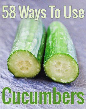 Cucumber Uses, Spicy Cucumber Salad, Room Mate, Spicy Pickles, Cucumber Plant, Cucumber Recipes, Vegetable Basket, Chocolate Zucchini, Garden Recipes