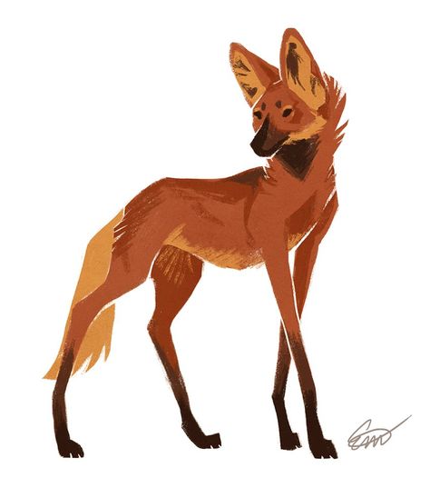 Maned Wolf, Red Fox, A Drawing, Fox, Deviantart, Red, White