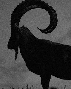 Goat Silhouette, Creepy Art, Dark Art, Pins, Art