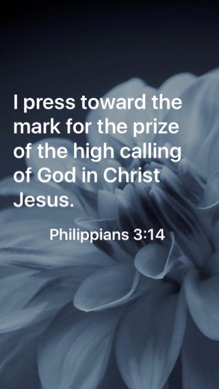 I press toward the mark for the prize of the high calling of God in Christ Jesus. Philippians 3:14 I Press Toward The Mark For The Prize, Press Toward The Mark, Jesus Story, Mark Bible, God Power, Teen Black, Jesus Loves Us, Lord Help, Verse Wallpaper