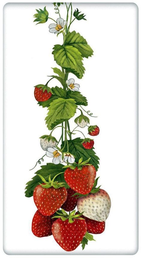 Strawberry Kitchen, Strawberry Art, Flour Sack Dish Towels, Strawberry Decorations, Hanging Vines, Fruit Painting, Strawberry Fields, China Painting, Botanical Drawings