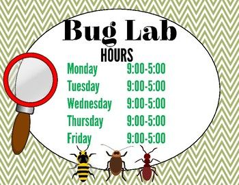 Insect-Bug Lab Dramatic Play Preschool Bug Theme, Preschool Bugs, Insect Identification, June Activities, Dramatic Play Themes, Insect Unit, Bugs Preschool, Creepy Creatures, Small Creatures