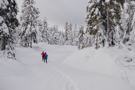 Sunshine Coast has plenty of snow for a winter elopement! Just 20 mns up a logging road! There is a quonset hut for warming after your adventures. How rustic is that! Snow Shoe, Air Photography, Sledding Hill, Sunshine Coast Bc, Quonset Hut, Winter Elopement, Adventure Couple, Forest Service, Cross Country Skiing